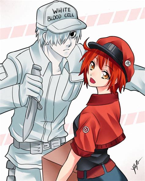 Cells at work anime. Things To Know About Cells at work anime. 
